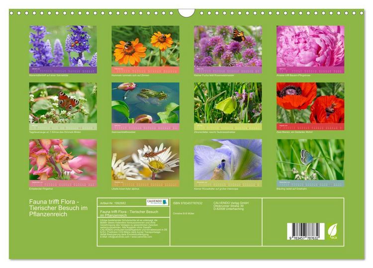 Produktbild: Fauna trifft Flora - Tierischer Besuch im Pflanzenreich (Wandkalender 2026 DIN A3 quer), CALVENDO Monatskalender