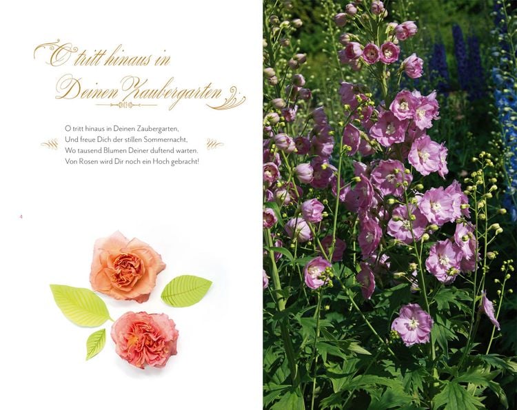 Produktbild: In Sisis Garten