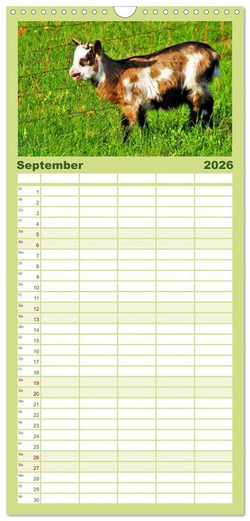 Produktbild: Familienplaner 2026 - Wer zickt denn da? Mit Ziegen durchs Jahr mit 5 Spalten (Wandkalender, 21 x 45 cm) CALVENDO