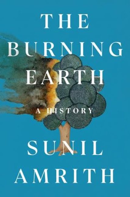 Produktbild: The Burning Earth