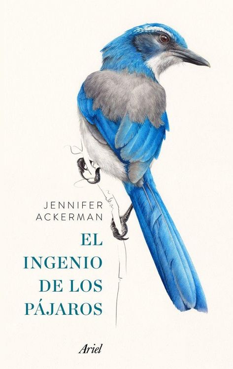Produktbild: El ingenio de los p&aacute;jaros