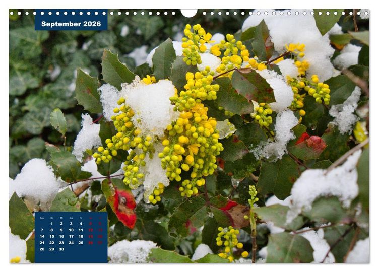 Produktbild: Winterstimmungen in Deutschland (Wandkalender 2026 DIN A3 quer), CALVENDO Monatskalender