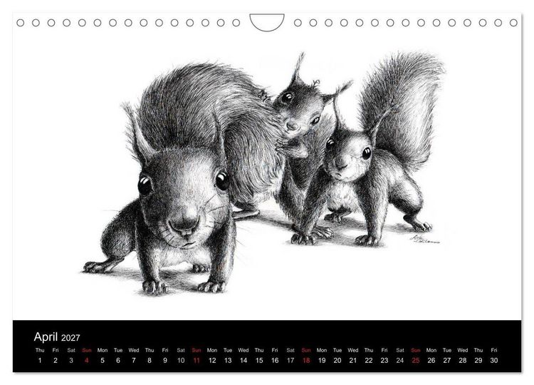 Produktbild: owls & friends 2027 (Wall Calendar 2027 DIN A4 landscape), CALVENDO 12 Month Wall Calendar
