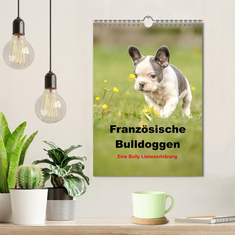 Produktbild: Franz&ouml;sische Bulldoggen - Eine Bully Liebeserk&auml;rung (Wandkalender 2026 DIN A4 hoch), CALVENDO Monatskalender