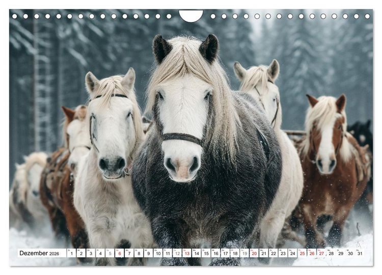 Produktbild: Pferde in freier Natur (Wandkalender 2026 DIN A4 quer), CALVENDO Monatskalender