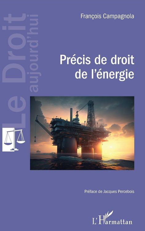 Produktbild: Pr&eacute;cis de droit de l'&eacute;nergie