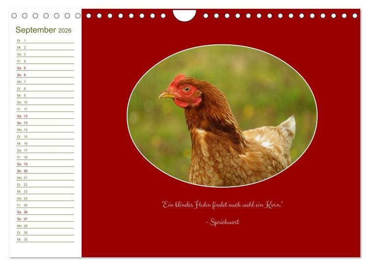Produktbild: Freilaufende H&uuml;hner (Wandkalender 2026 DIN A4 quer), CALVENDO Monatskalender