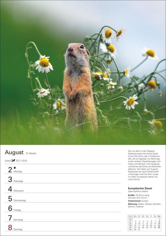 Produktbild: Heimische Tiere Wochenplaner 2027 - 53 faszinierende Fotografien