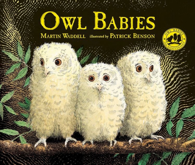 Produktbild: Owl Babies