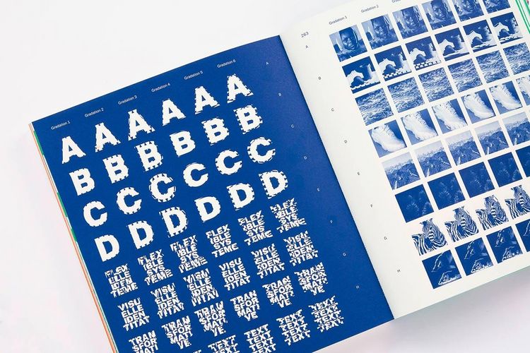 Produktbild: Flexible Visual Systems