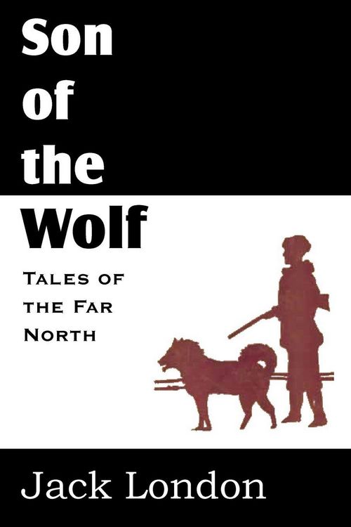 Produktbild: The Son of the Wolf