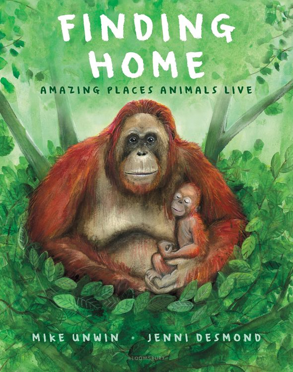 Produktbild: Finding Home