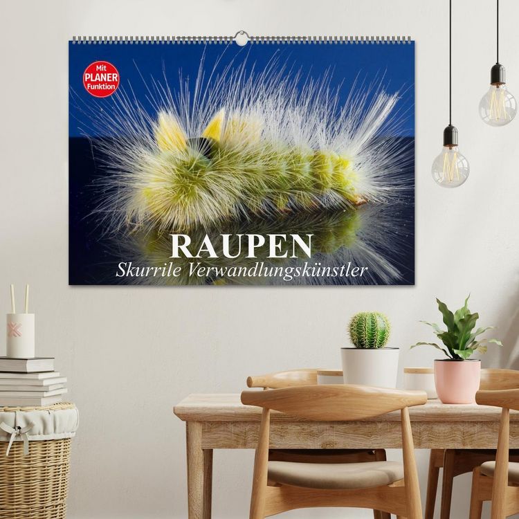 Produktbild: Raupen. Skurrile Verwandlungsk&uuml;nstler (Wandkalender 2026 DIN A2 quer), CALVENDO Monatskalender