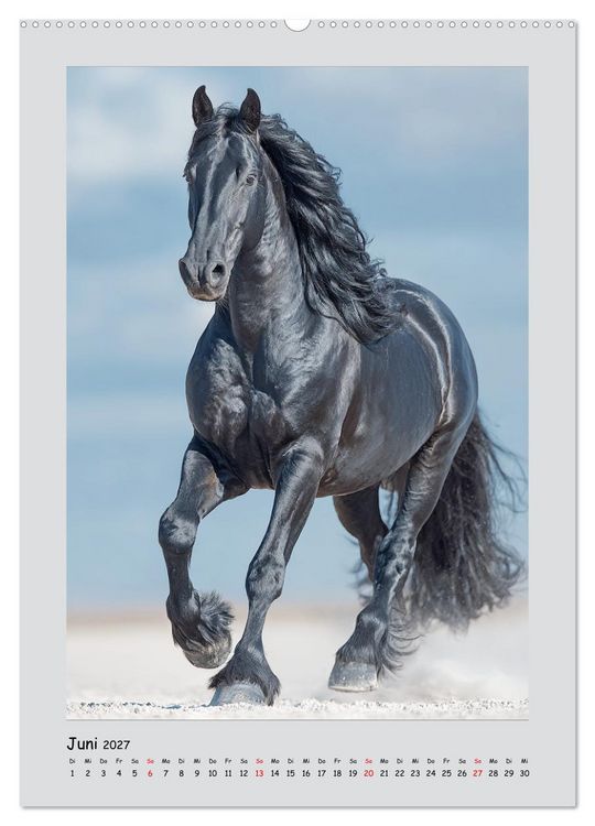 Produktbild: Friesenpferde. Schwarze Eleganz in der Natur (Wandkalender 2027 DIN A2 hoch), CALVENDO Monatskalender