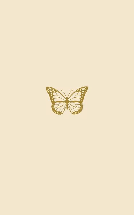 Produktbild: Introspection