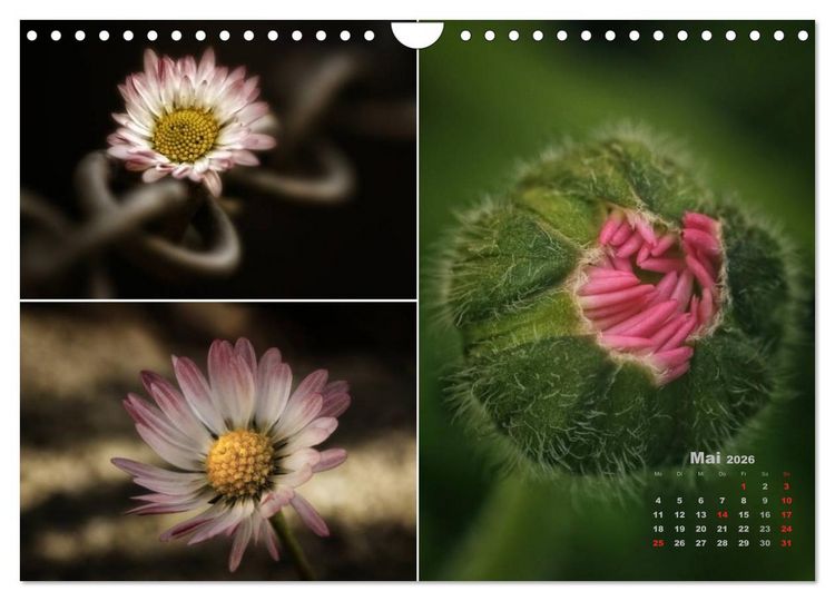 Produktbild: Blumenreise 2026 (Wandkalender 2026 DIN A4 quer), CALVENDO Monatskalender