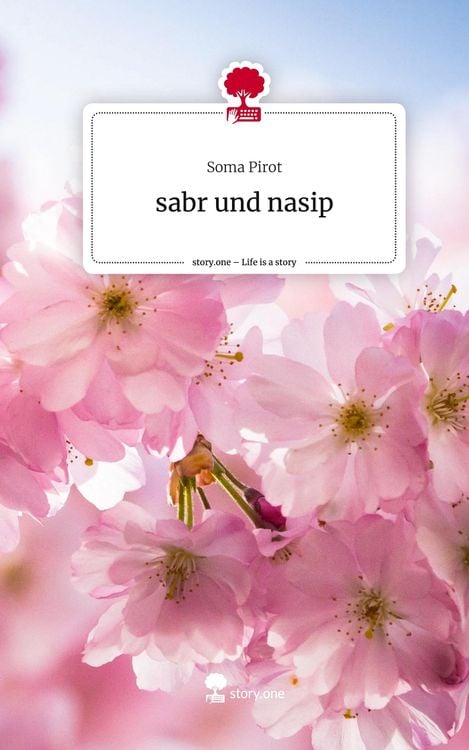 Produktbild: Sabr und nasip. Life is a Story - story.one