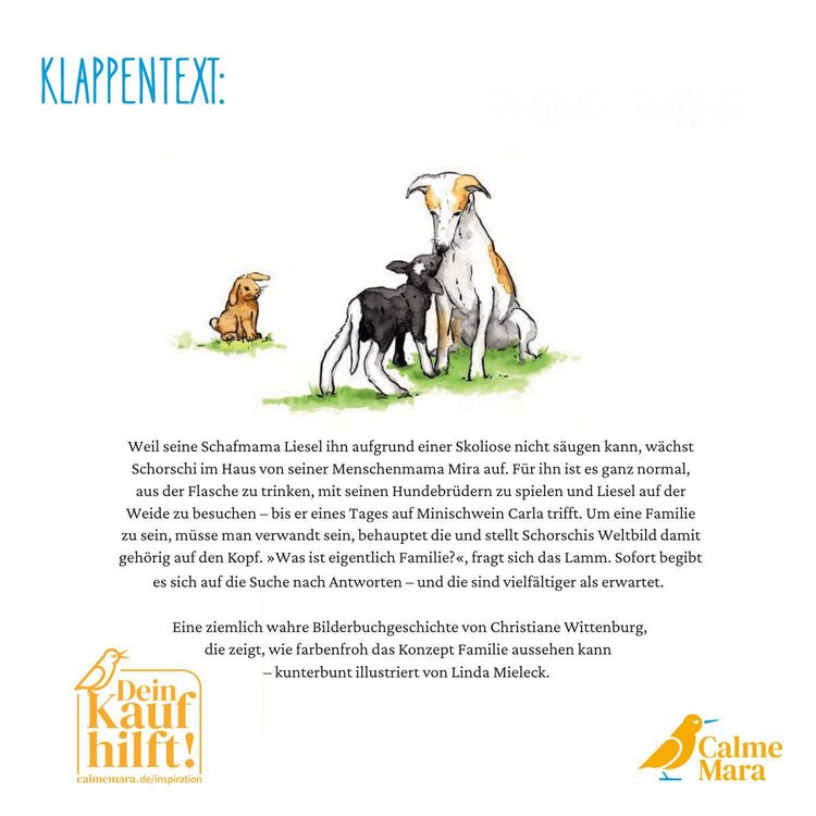 Produktbild: Schorschi und das bunte Familiending