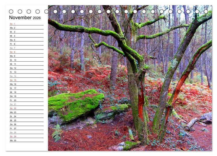 Produktbild: Jakobsweg - Camino Portugues Central (Tischkalender 2026 DIN A5 quer), CALVENDO Monatskalender