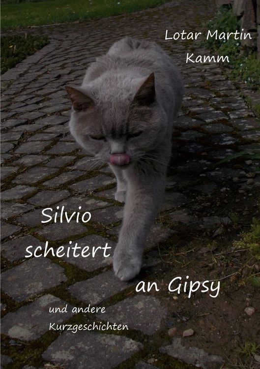 Produktbild: Silvio scheitert an Gipsy