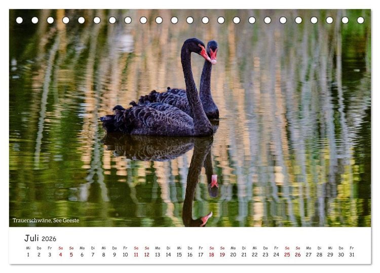 Produktbild: Emsland Impressionen (Tischkalender 2026 DIN A5 quer), CALVENDO Monatskalender