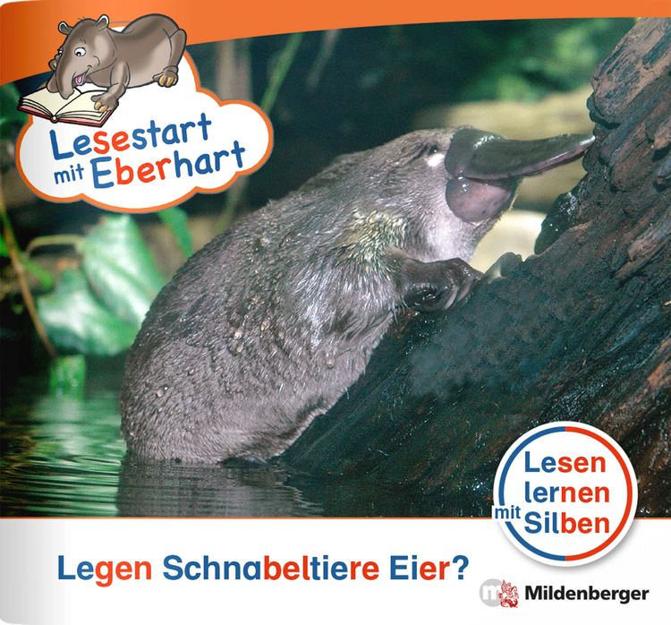 Produktbild: Lesestart mit Eberhart: Legen Schnabeltiere Eier?