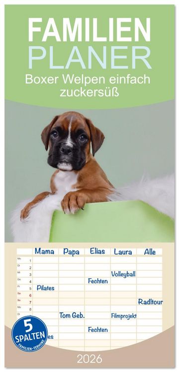 Produktbild: Familienplaner 2026 - Boxer Welpen einfach zuckers&uuml;&szlig; mit 5 Spalten (Wandkalender, 21 x 45 cm) CALVENDO