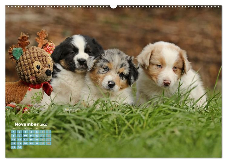 Produktbild: Lillyfee und ein K&ouml;rbchen voller Gl&uuml;ck (hochwertiger Premium Wandkalender 2027 DIN A2 quer), Kunstdruck in Hochglanz
