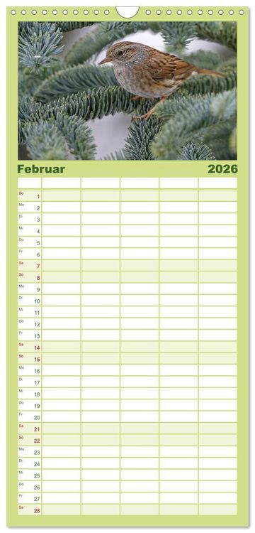 Produktbild: Familienplaner 2026 - Heimische Gartenv&ouml;gel mit 5 Spalten (Wandkalender, 21 x 45 cm) CALVENDO