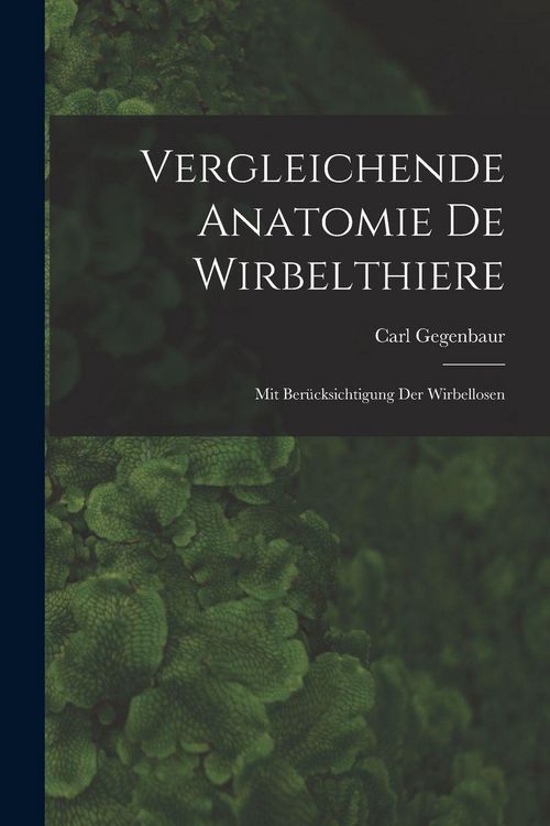 Produktbild: Vergleichende Anatomie De Wirbelthiere