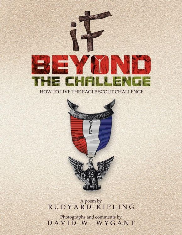 Produktbild: IF - Beyond the Challenge