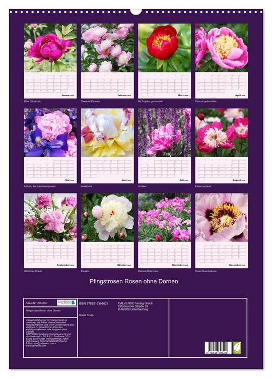 Produktbild: Pfingstrosen Rosen ohne Dornen (Wandkalender 2026 DIN A2 hoch), CALVENDO Monatskalender