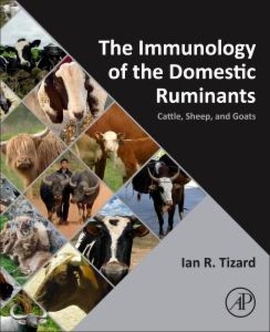 Produktbild: The Immunology of the Domestic Ruminants