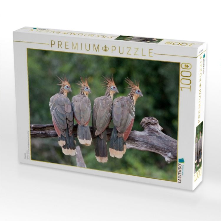 Produktbild: CALVENDO Puzzle Hoatzins | 1000 Teile Lege-Gr&ouml;&szlig;e 64x48cm Foto-Puzzle f&uuml;r gl&uuml;ckliche Stunden