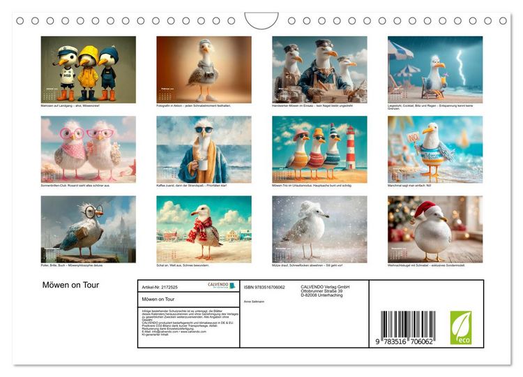 Produktbild: M&ouml;wen on Tour (Wandkalender 2026 DIN A4 quer), CALVENDO Monatskalender