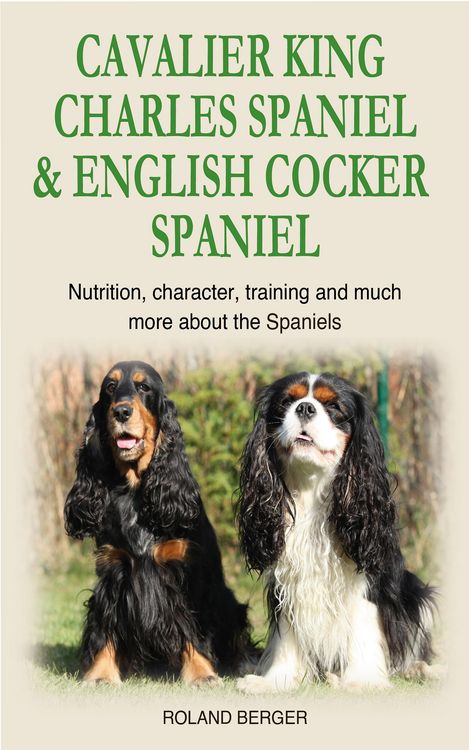 Produktbild: Cavalier King Charles Spaniel and English Cocker Spaniel