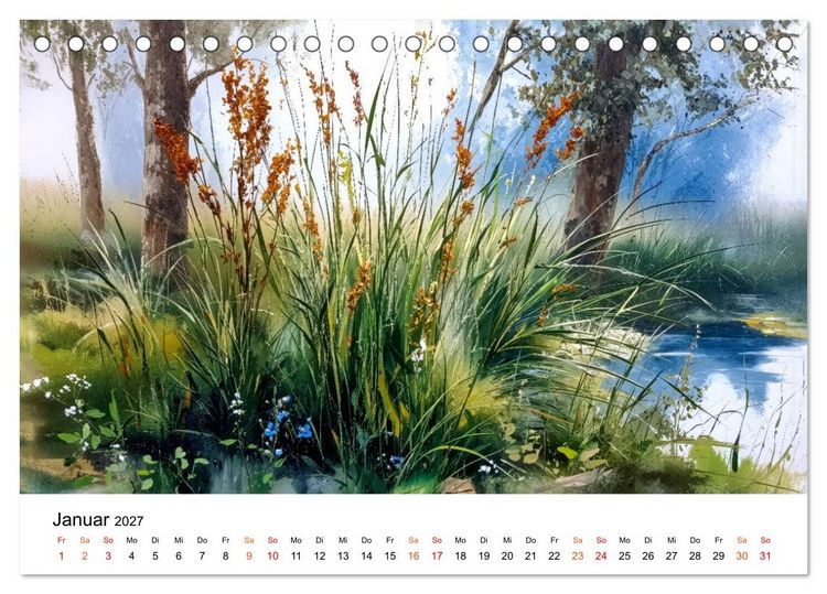 Produktbild: Wildblumen zwischen Moos und Farn (Tischkalender 2027 DIN A5 quer), CALVENDO Monatskalender