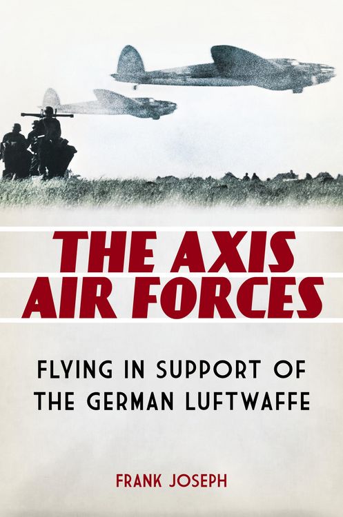 Produktbild: The Axis Air Forces