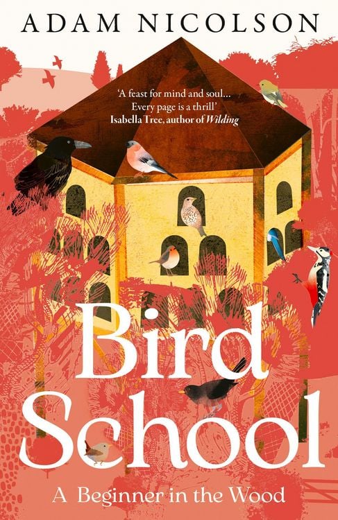 Produktbild: Bird School