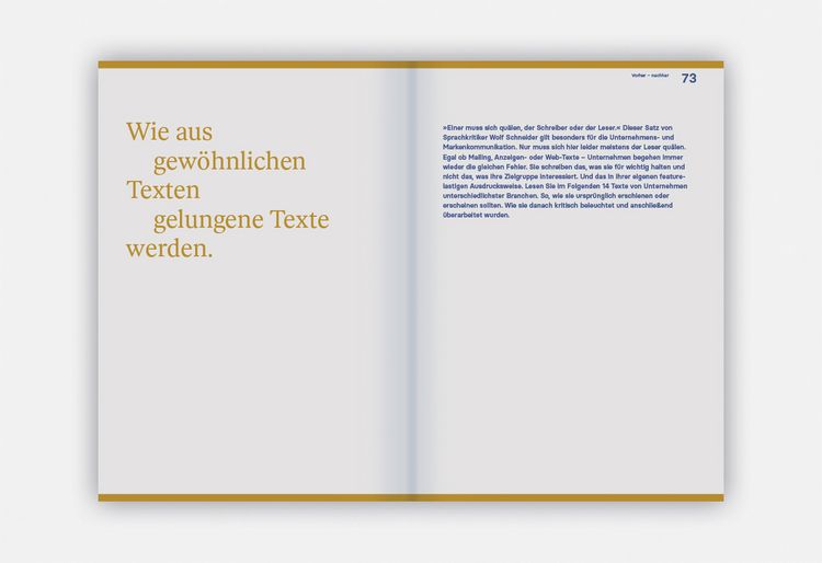 Produktbild: Corporate Language das Praxisbuch