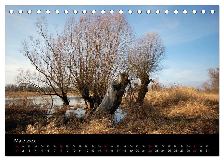 Produktbild: Vier Jahreszeiten im Havelland (Tischkalender 2026 DIN A5 quer), CALVENDO Monatskalender