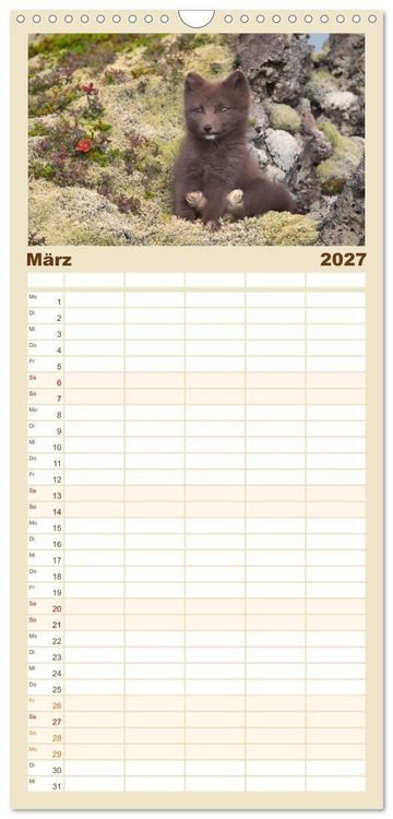 Produktbild: Familienplaner 2027 - Polarfuchs-Welpen mit 5 Spalten (Wandkalender, 21 x 45 cm) CALVENDO