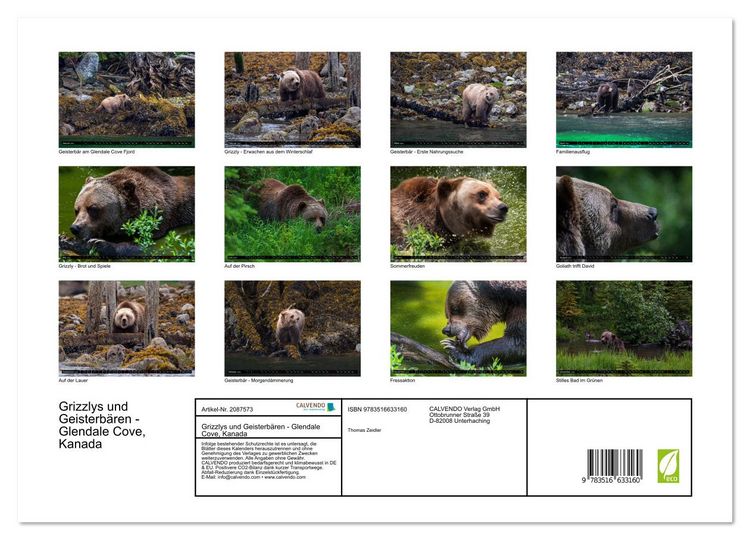 Produktbild: Grizzlys und Geisterb&auml;ren - Glendale Cove, Kanada (Wandkalender 2026 DIN A3 quer), CALVENDO Monatskalender