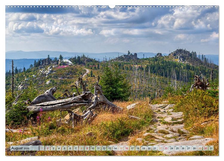 Produktbild: Bayer-Woid-Buidl (Wandkalender 2026 DIN A2 quer), CALVENDO Monatskalender