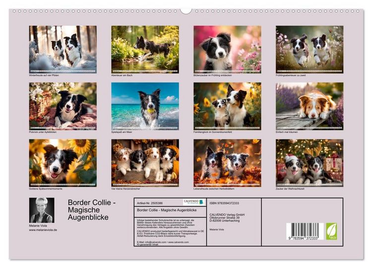 Produktbild: Border Collie - Magische Augenblicke (hochwertiger Premium Wandkalender 2027 DIN A2 quer), Kunstdruck in Hochglanz