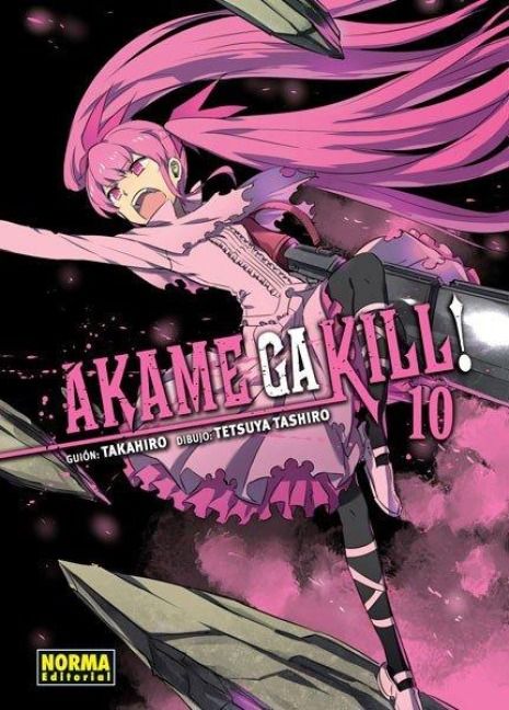 Produktbild: Akame ga kill! 10