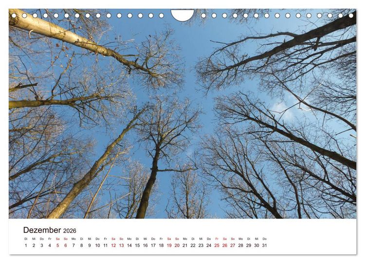 Produktbild: Bad Schwartau (Wandkalender 2026 DIN A4 quer), CALVENDO Monatskalender