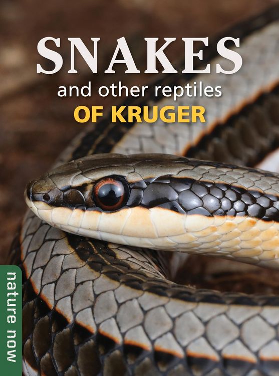 Produktbild: Snakes and other reptiles of Kruger