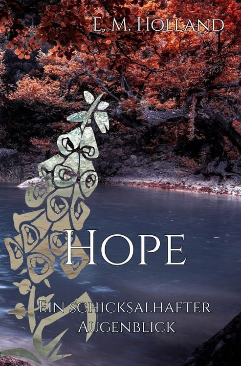 Produktbild: Schicksal-Reihe / Hope - ein schicksalhafter Augenblick