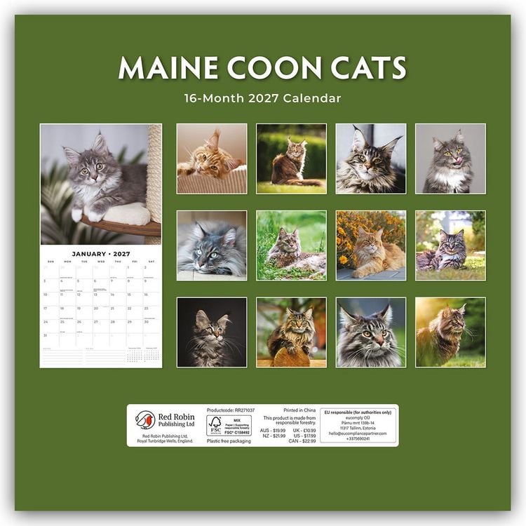 Produktbild: Maine Coon Cats &ndash; Maine Coon Katzen 2027 &ndash; 16-Monatskalender